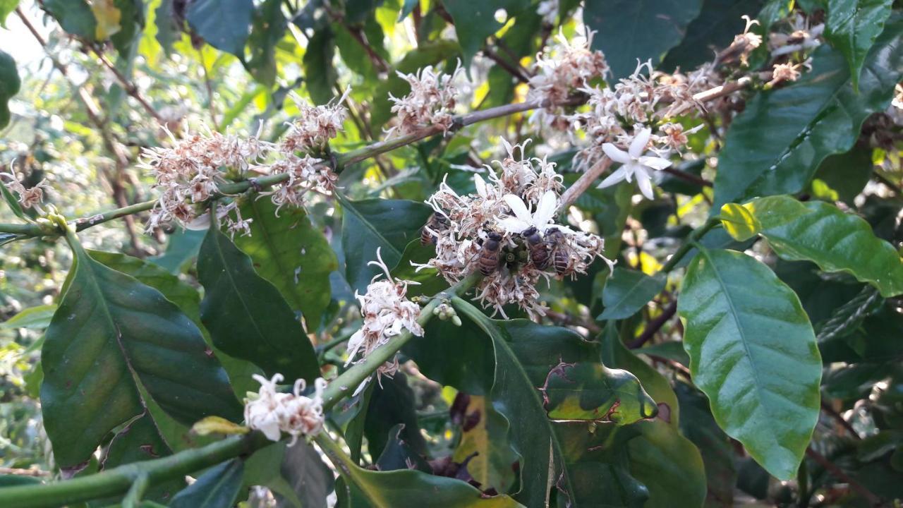 Begnas Coffee House & Hotel Deorāli المظهر الخارجي الصورة
